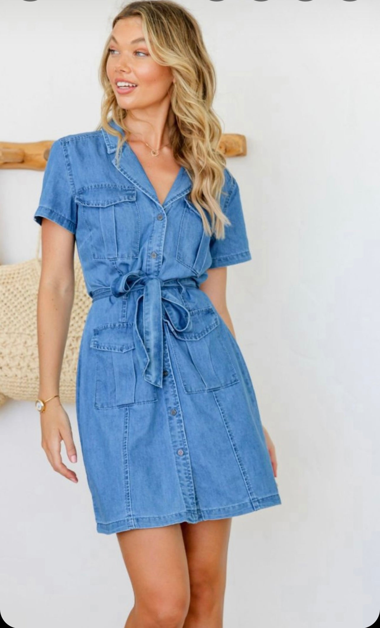 Sonny denim dress
