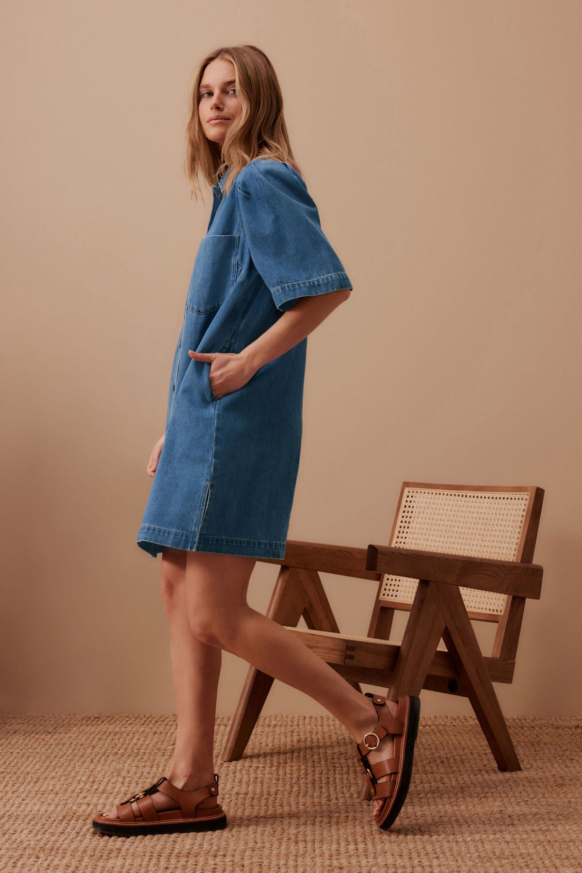 Dylan Pleat Sleeve Boxy Dress